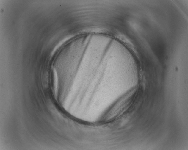 X0000066080012200603311946