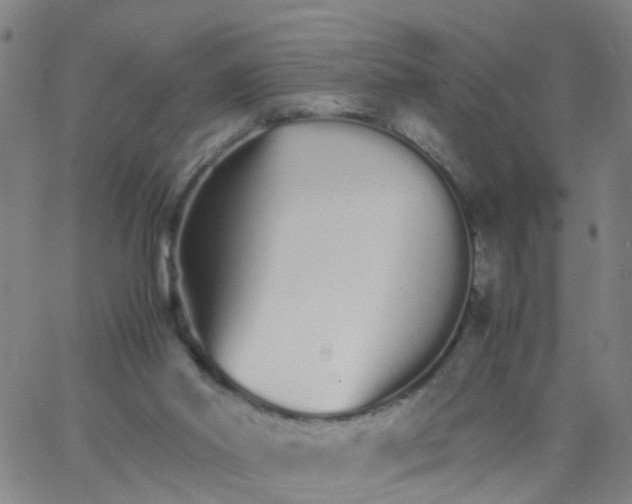 X0000066080014200603311946