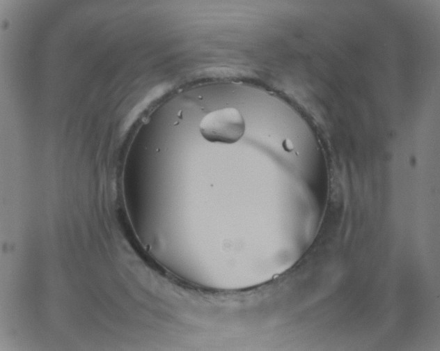 X0000066080015200603311946