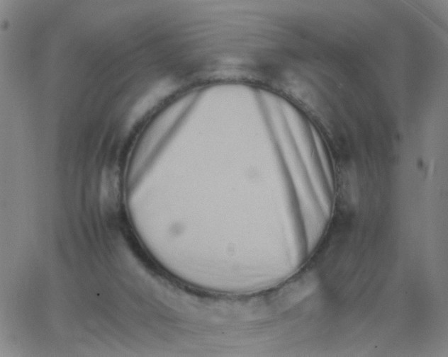 X0000066080016200603311946