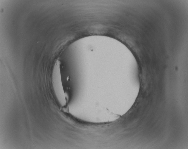 X0000066080017200603311946