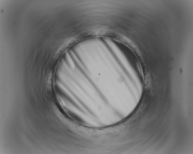 X0000066080018200603311946