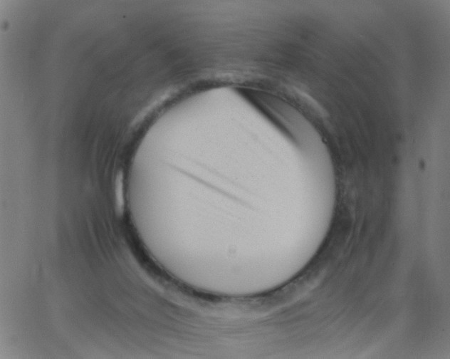 X0000066080020200603311946