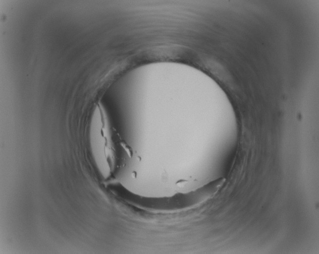 X0000066080021200603311946