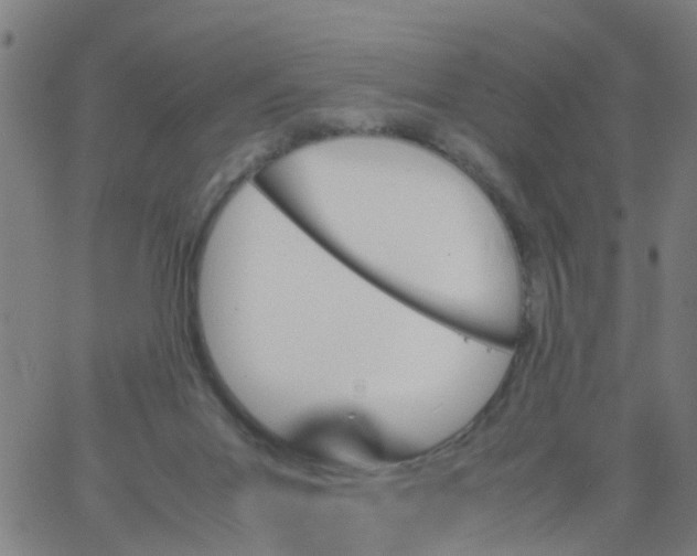 X0000066080023200603311946