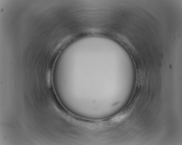 X0000066080024200603311946