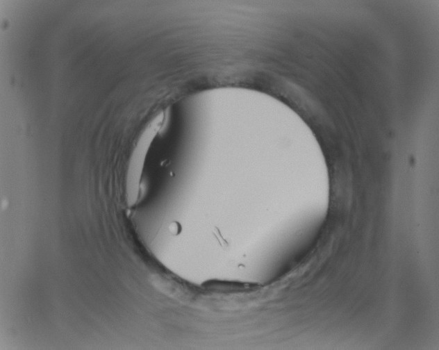 X0000066080025200603311946