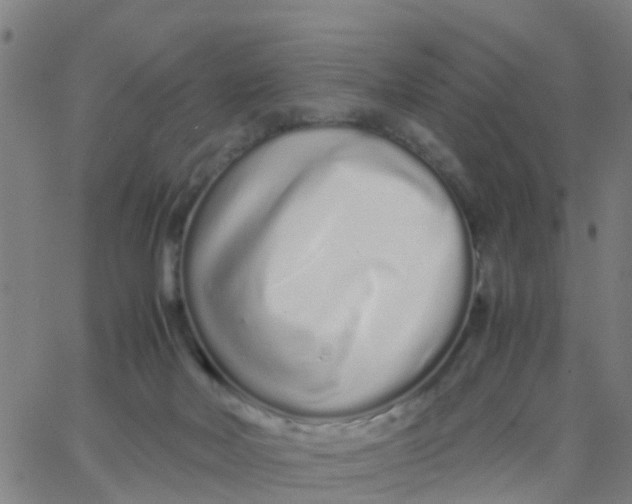 X0000066080026200603311946