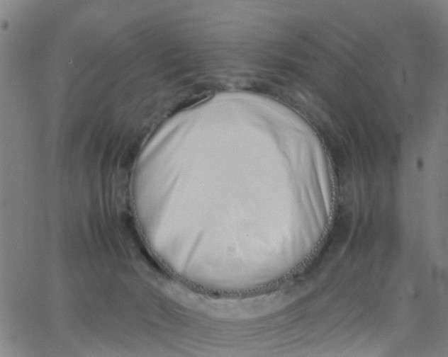 X0000066080030200603311946