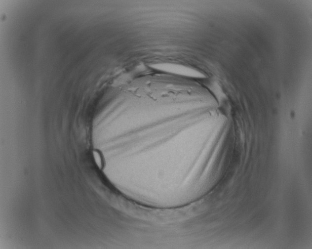 X0000066080031200603311946