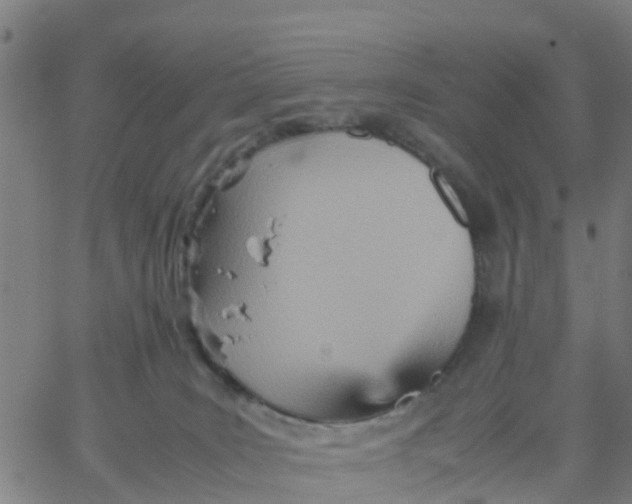 X0000066080035200603311946