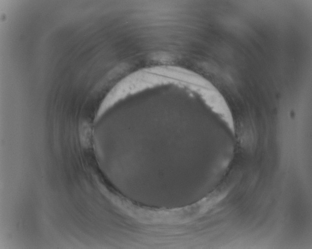 X0000066080036200603311946