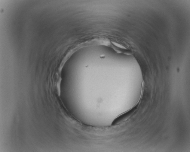 X0000066080037200603311946