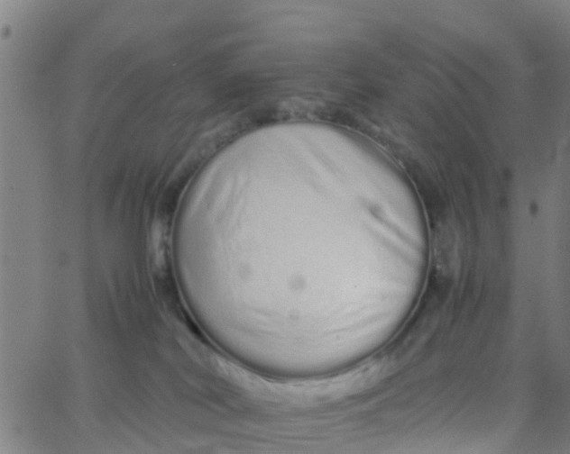 X0000066080038200603311946