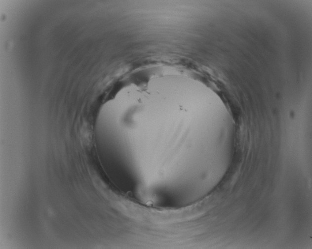 X0000066080039200603311946