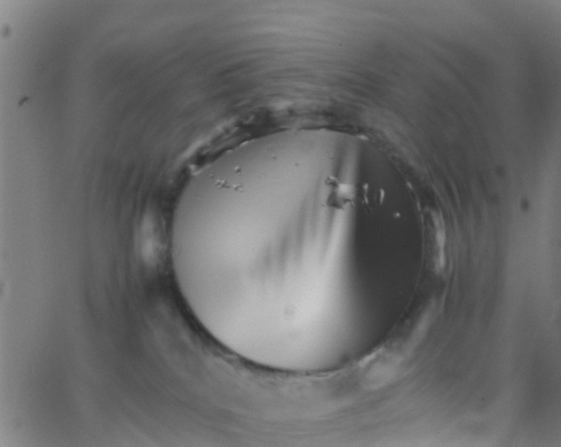 X0000066080040200603311946