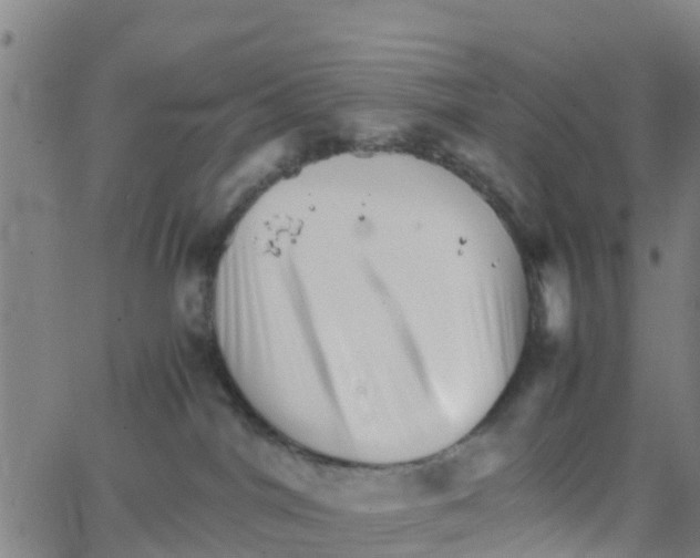 X0000066080044200603311946