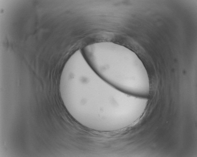 X0000066080045200603311946