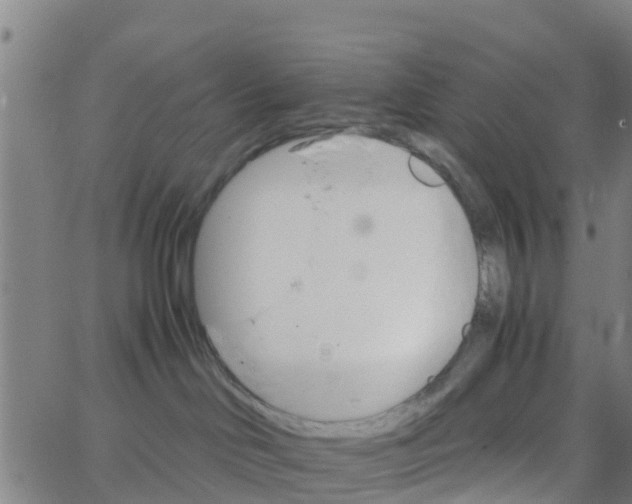 X0000066080046200603311946