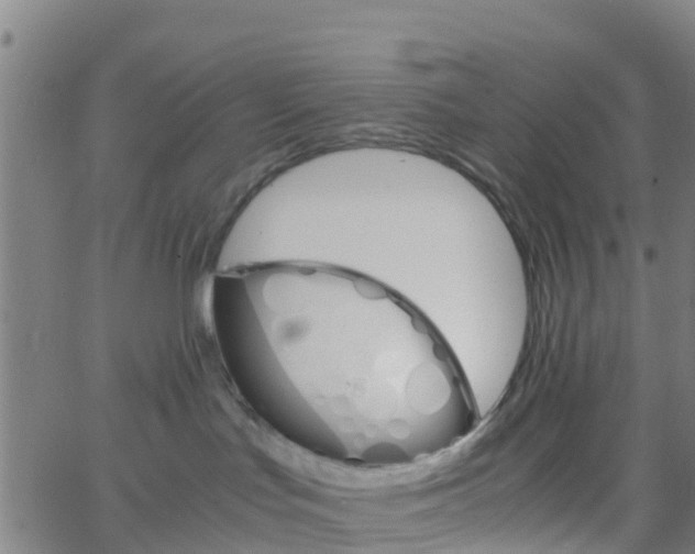 X0000066080047200603311946