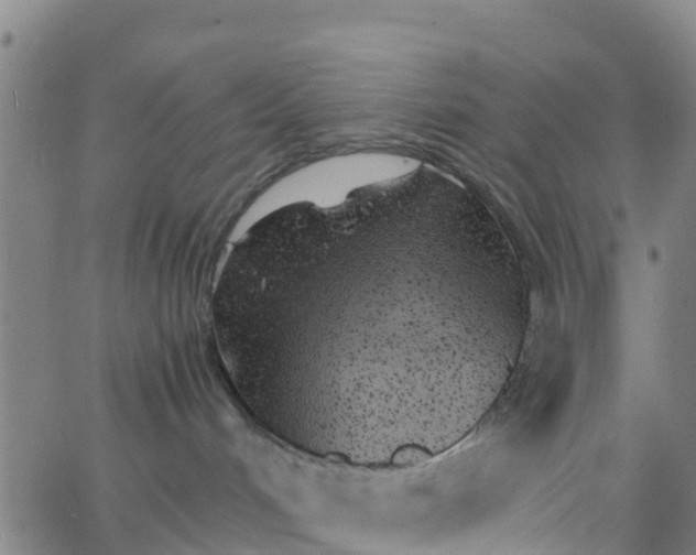 X0000066080048200603311946