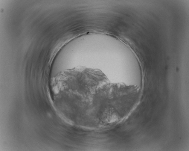 X0000066080049200603311945