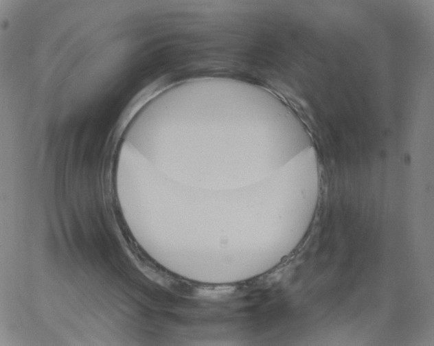 X0000066080051200603311945