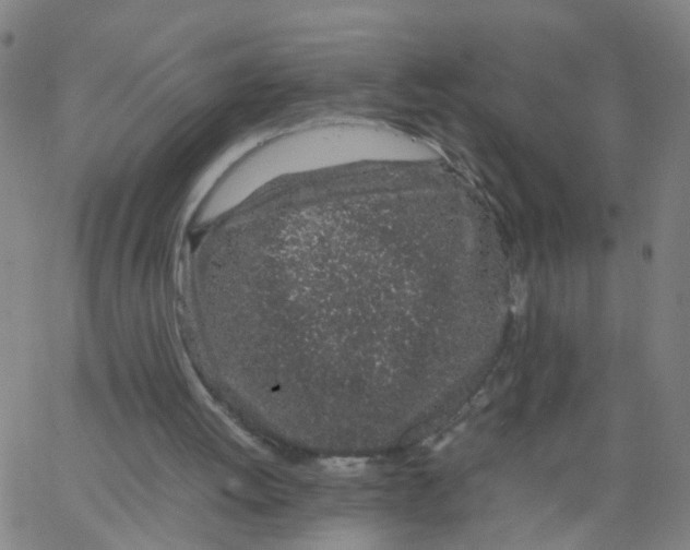 X0000066080052200603311945