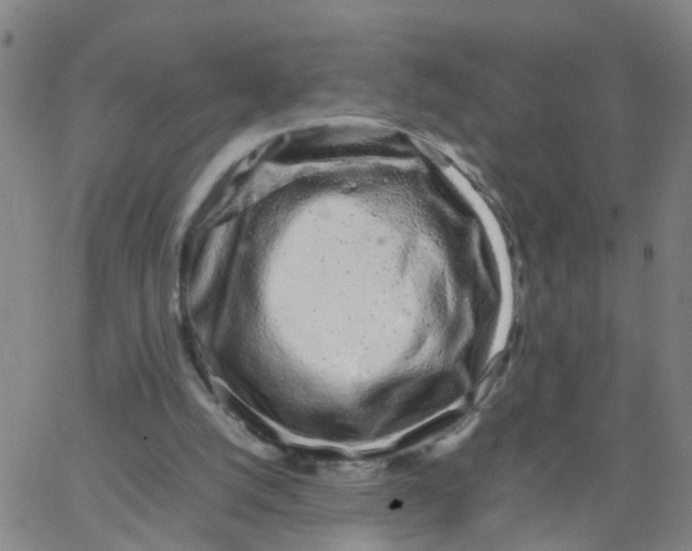 X0000066080056200603311945