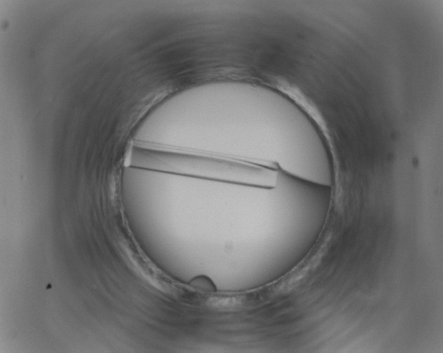 X0000066080057200603311945