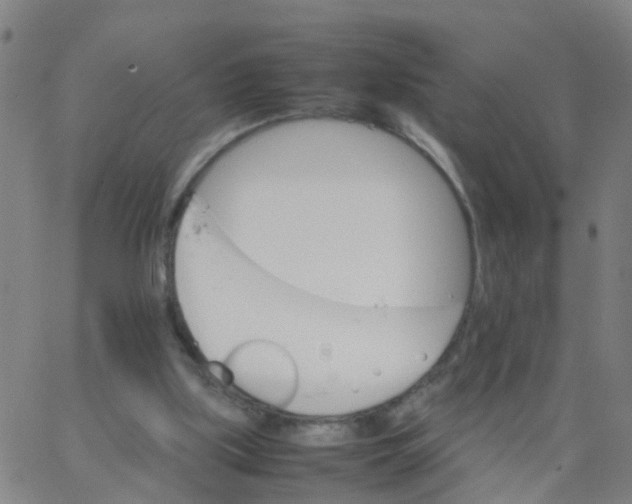 X0000066080059200603311945