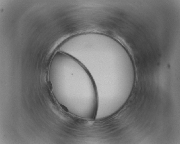 X0000066080060200603311945