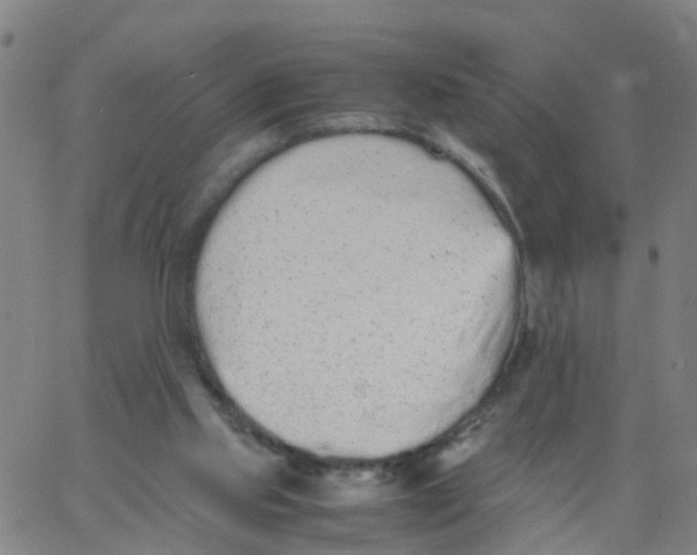 X0000066080061200603311945