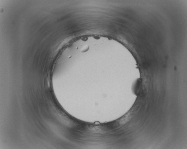 X0000066080062200603311945