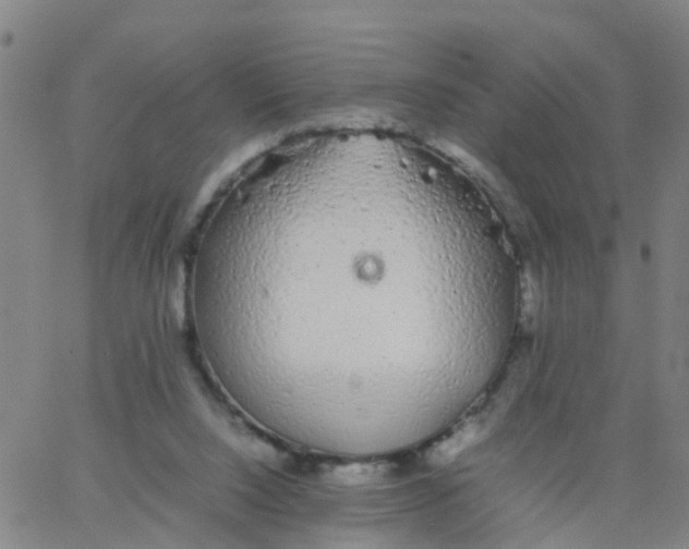 X0000066080064200603311945