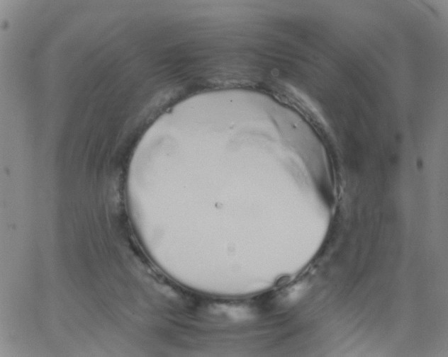 X0000066080065200603311945