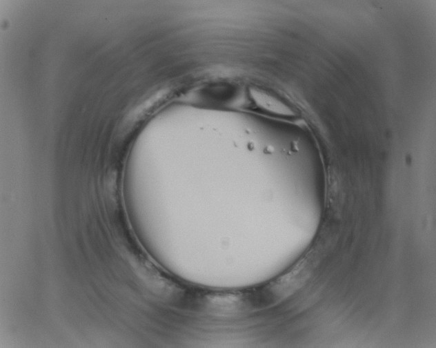 X0000066080066200603311945