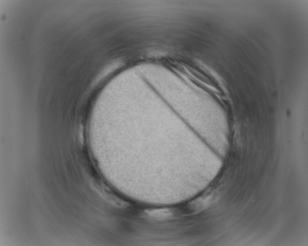 X0000066080067200603311945