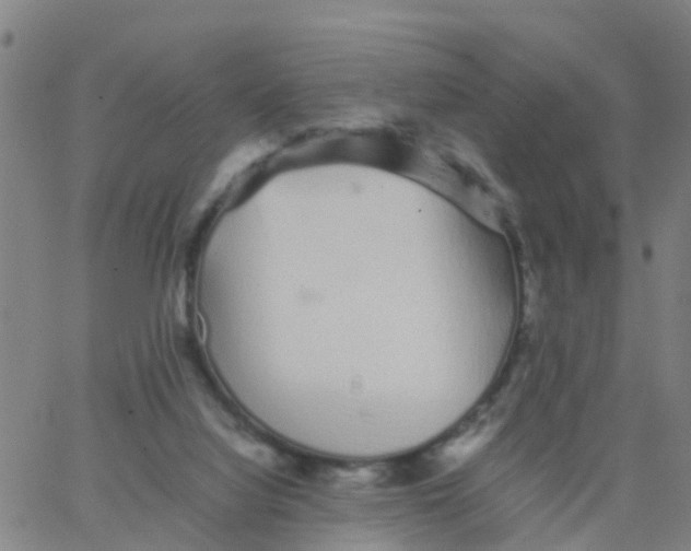 X0000066080068200603311945