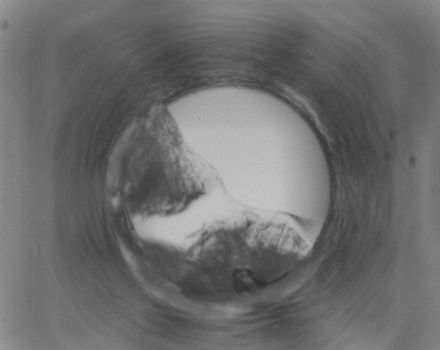 X0000066080069200603311945