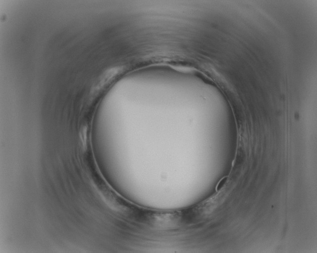 X0000066080070200603311945