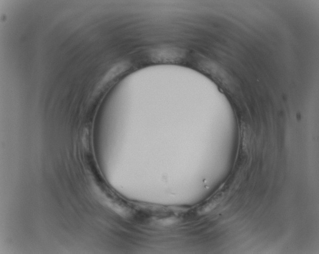 X0000066080071200603311945