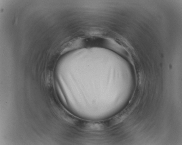 X0000066080073200603311946