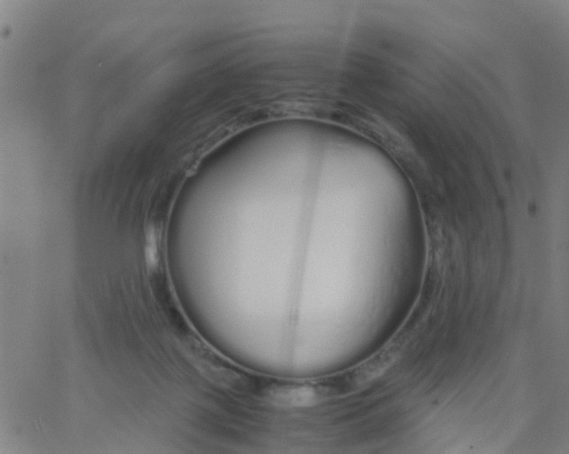 X0000066080075200603311946