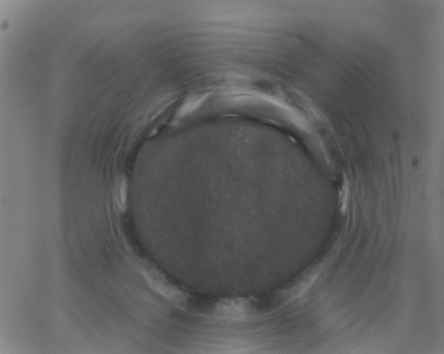 X0000066080076200603311946