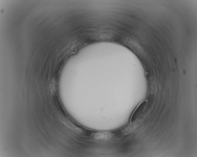 X0000066080077200603311946