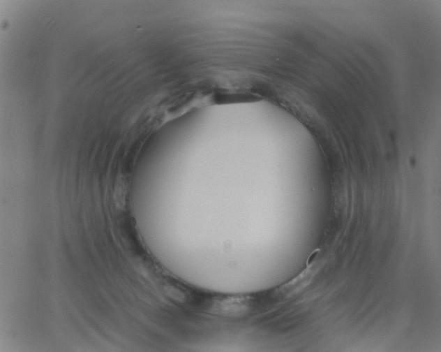 X0000066080078200603311946