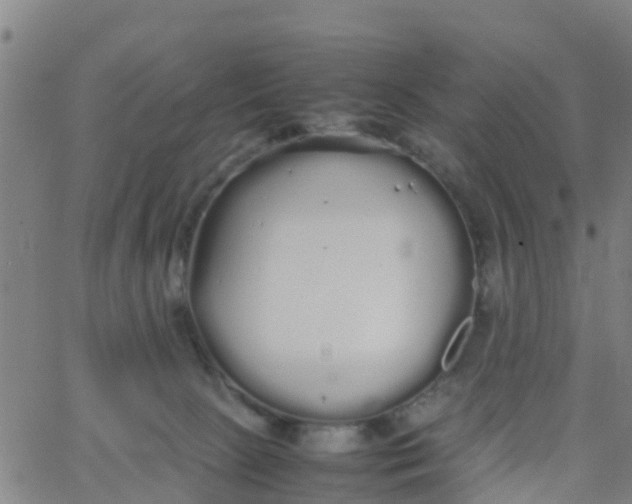 X0000066080081200603311946