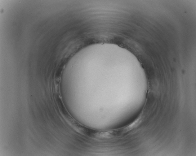 X0000066080086200603311946