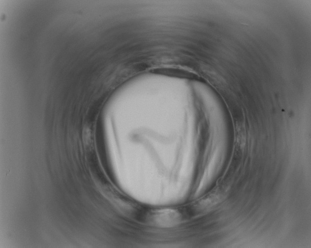 X0000066080087200603311946